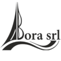 logo bora