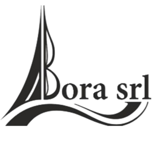 logo bora